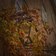 Illustration for article titled Shooting Challenge Fall Leaves Gallery 8